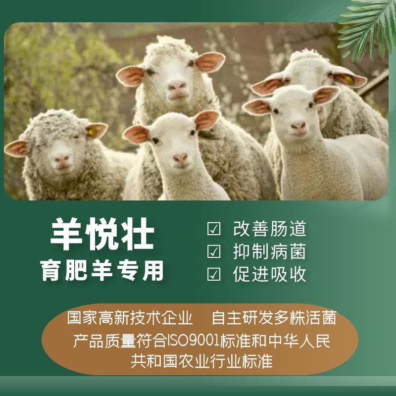 羊悅壯