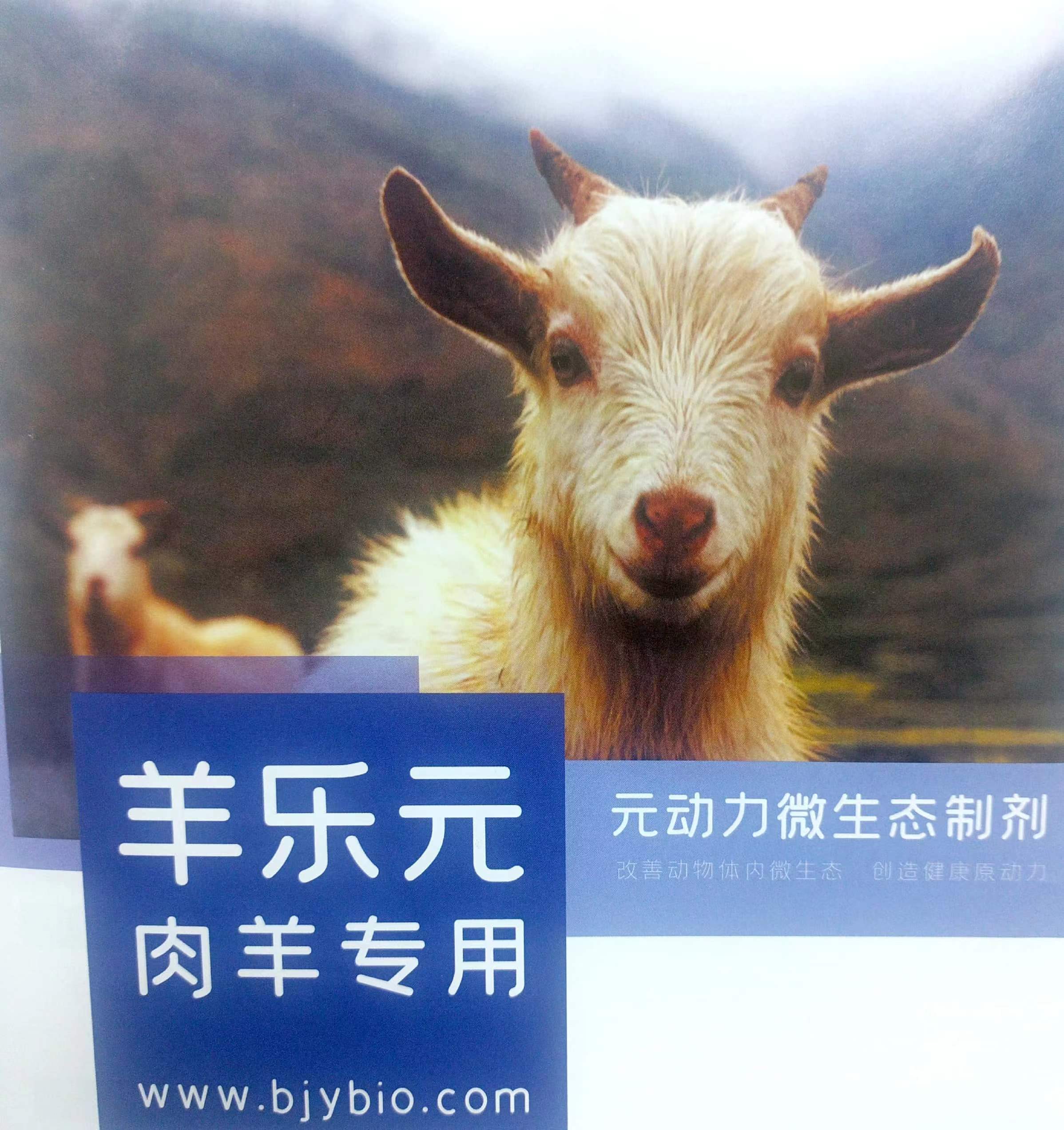 羊樂元